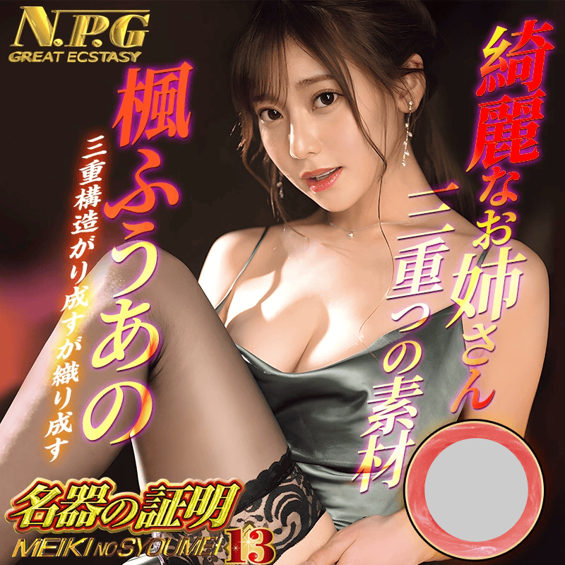 NPG No.13 Kaede Fua Realistic Vagina Masturbator Cup for Men – Mature Woman Edition  NPG证明13枫富爱飞机杯男用成人倒模真实阴道熟女